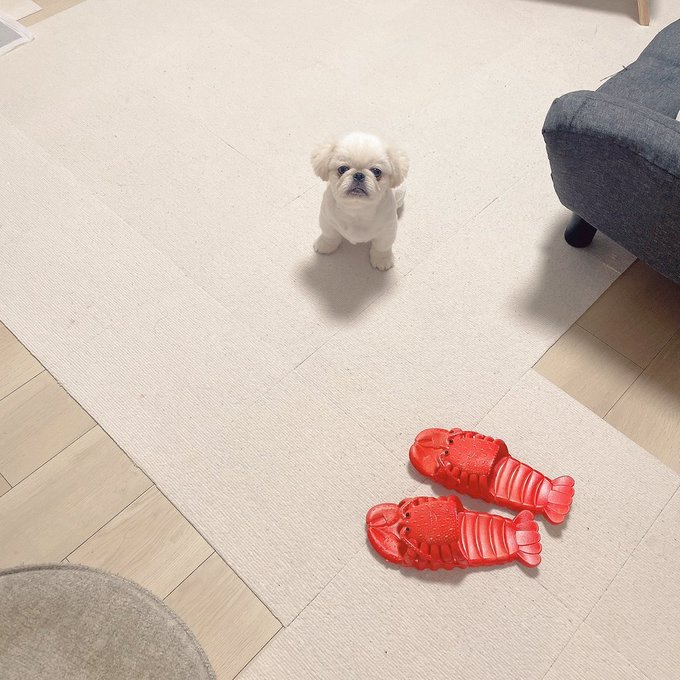 ちょこん