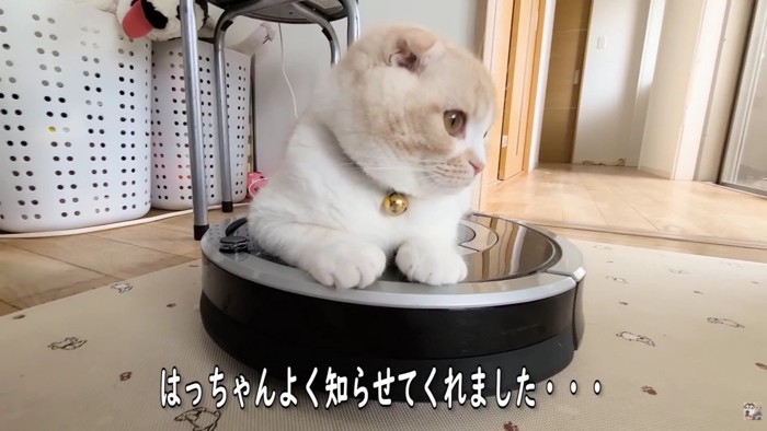 事故を未然に防げたかも!