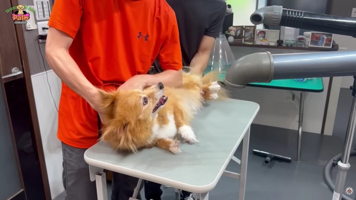 徐々に落ち着いて…