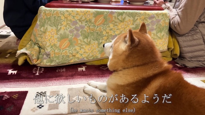 欲しいのはこっち…