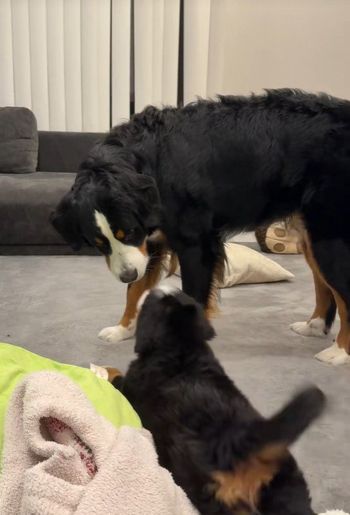 お顔が近づいたかと思うと…