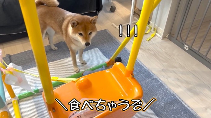 ママさんが「食べちゃうぞ」と言ったら…