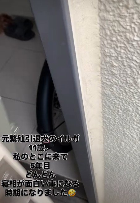 投稿主さんが帰宅すると…