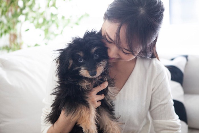 部屋の中にいる子犬と女性