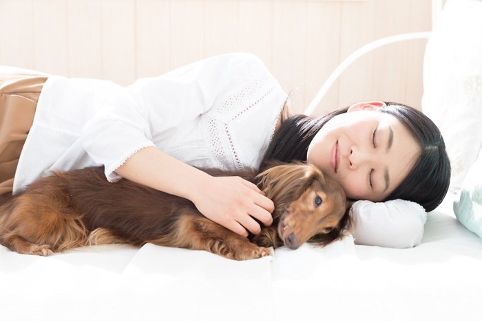 ベッドで添い寝する犬と女性