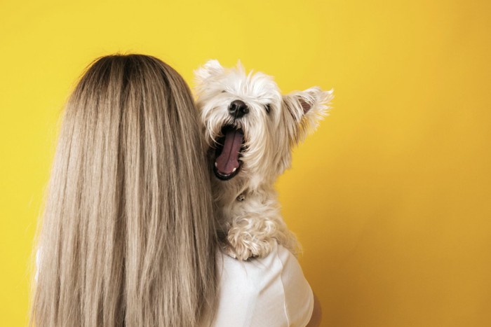 女性に抱っこされ吠える犬