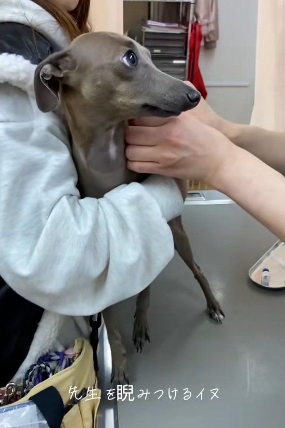 先生をにらむティナちゃん2