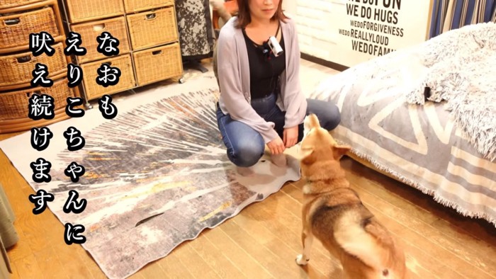 えりこさんに吠えるマメちゃん