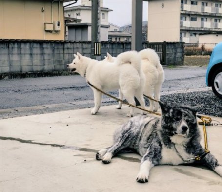 素敵な家族