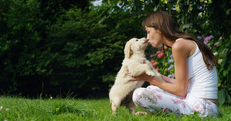 女性とキスするゴールデンの子犬