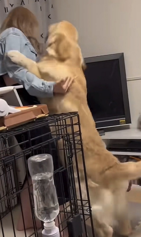 ギャルにハグする犬