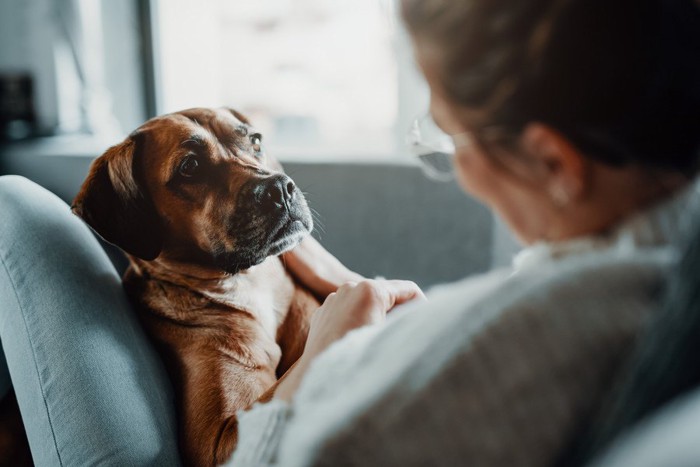 犬と一緒にくつろぐ女性