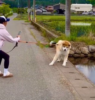 「泥遊びしたい！！」