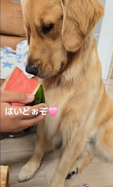 一緒にスイカも食べました