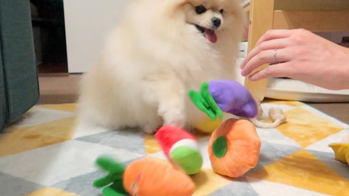 やっぱり破壊(笑)