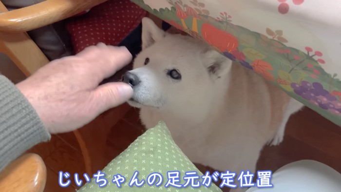 おじいちゃんにおねだり