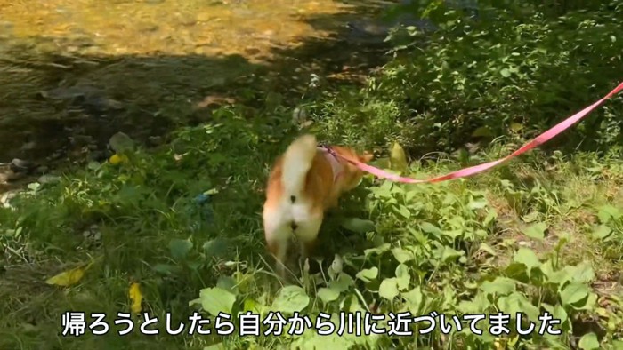 「もうちょっと川で遊びたいかも…」