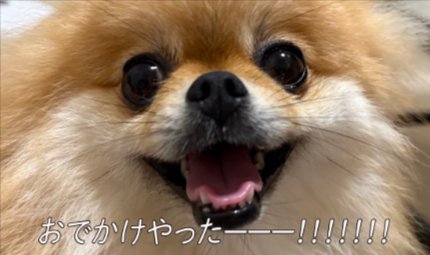 おでかけの