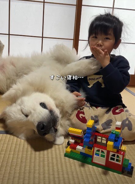 仰向けになっちゃった！！