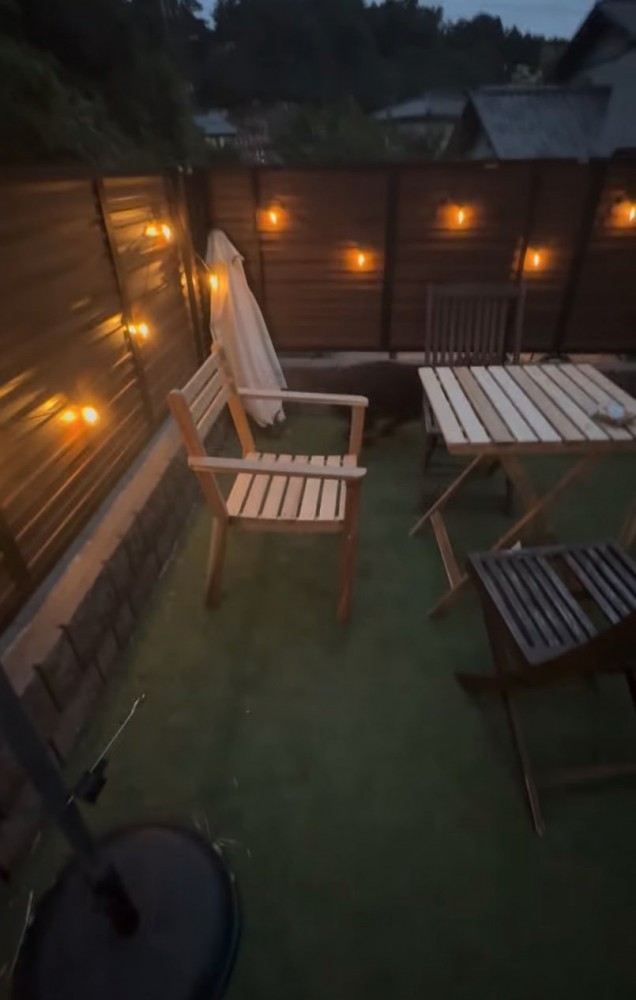 テーブルの周りを走る犬