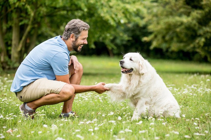 笑顔の男性にお手をする犬