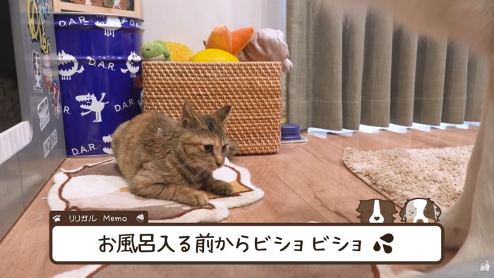 ビショビショになっちゃった…