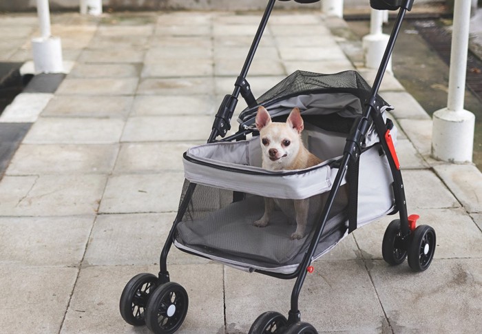 ペットカートに乗る犬