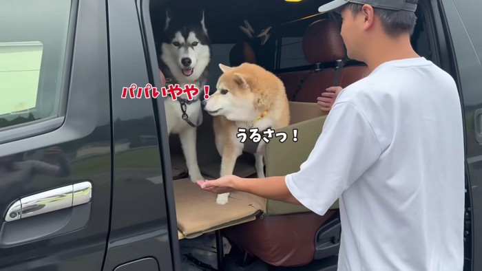 「パパは嫌！！」