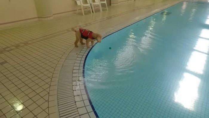 ボールを拾おうとして…