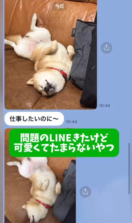 パパからLINEが来た