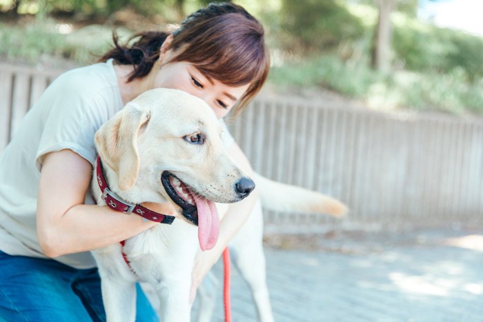 レトリーバーと女性