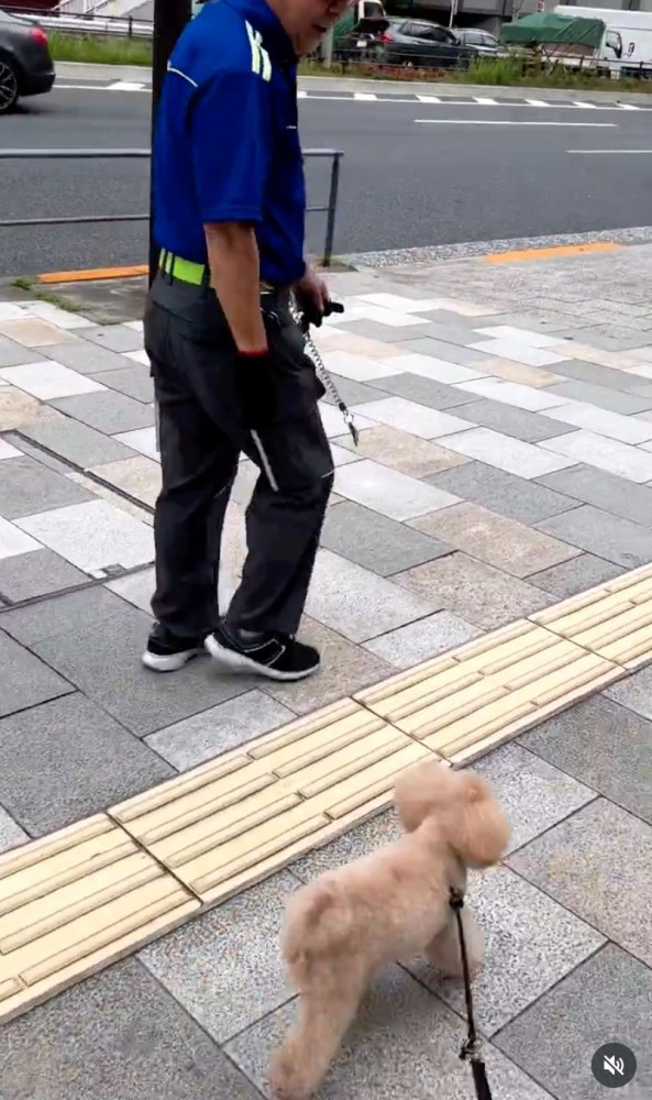 配達員の隣を歩く犬