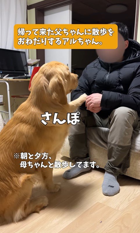 アルトくんのお散歩催促2