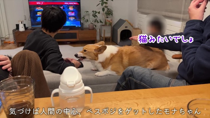 猫みたいなモナちゃん