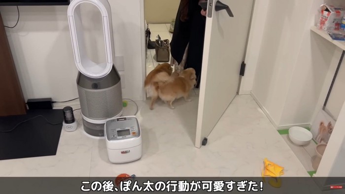 2匹揃って歓迎！