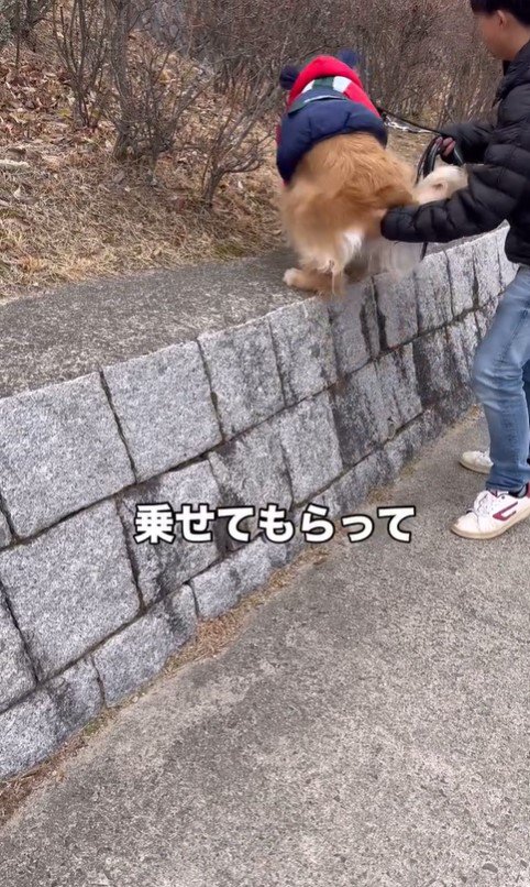 高いところに登りたがる空くん3