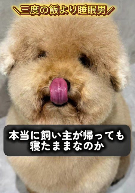 マイペースなピンちゃんでした
