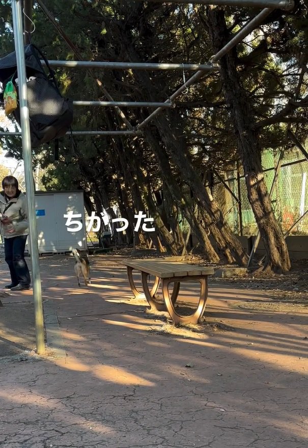 違う人だと気づいたカッパちゃん