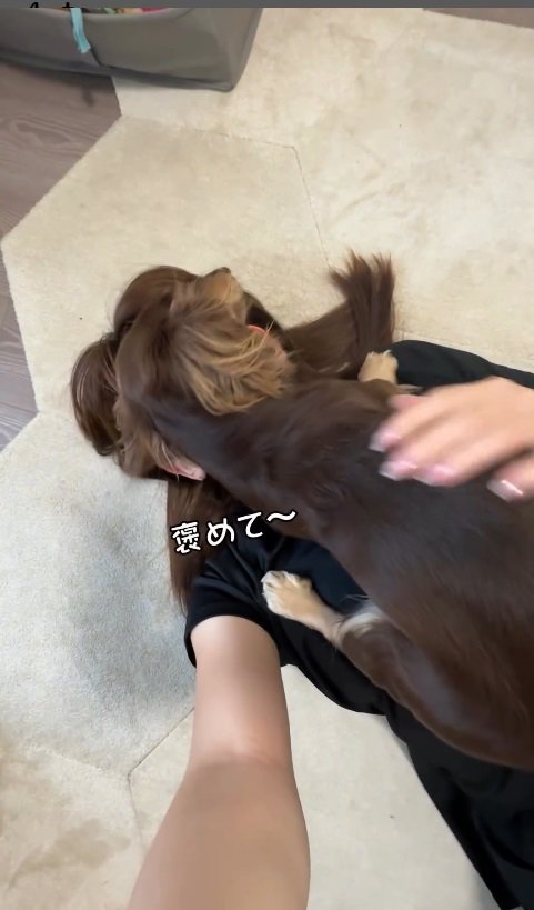 まんざらでもない飼い主さんでした