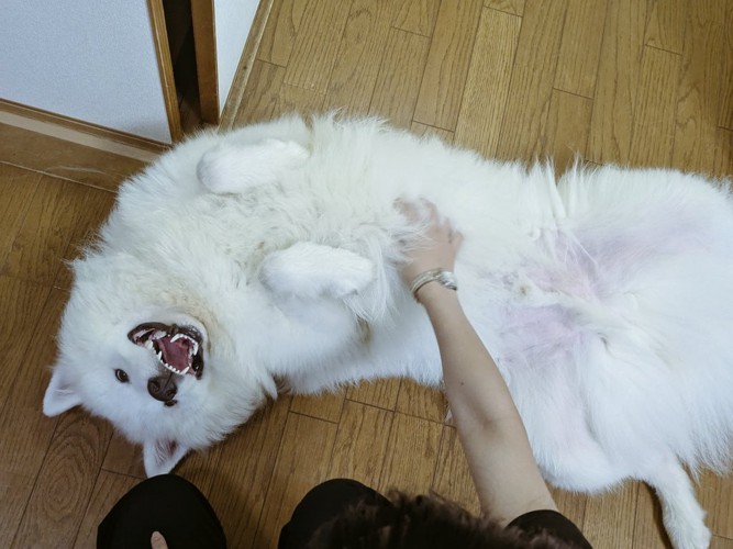 甘えん坊