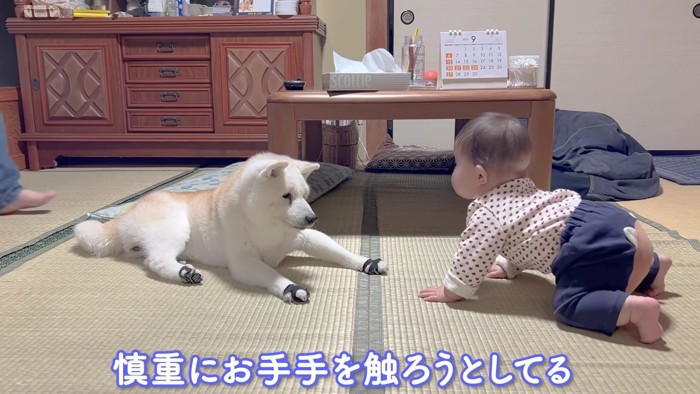赤ちゃんは興味津々♪