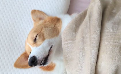 ぐっすり