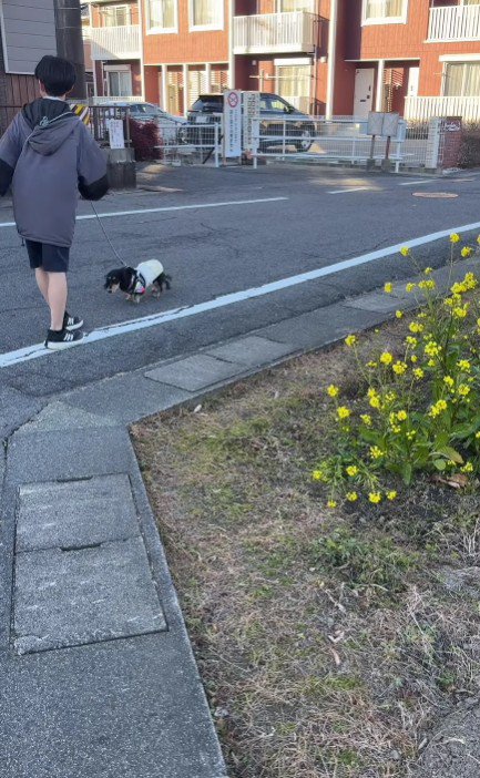 左目が見えていない…？