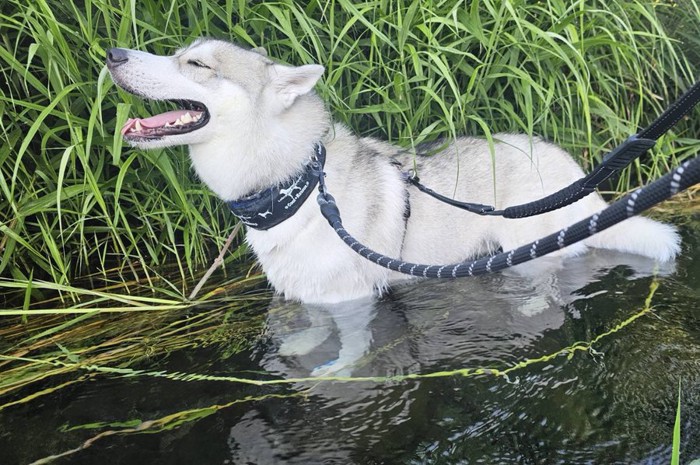 お水遊び