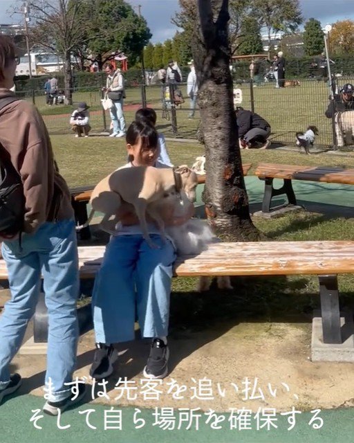 スキップ君の割り込みの手口6