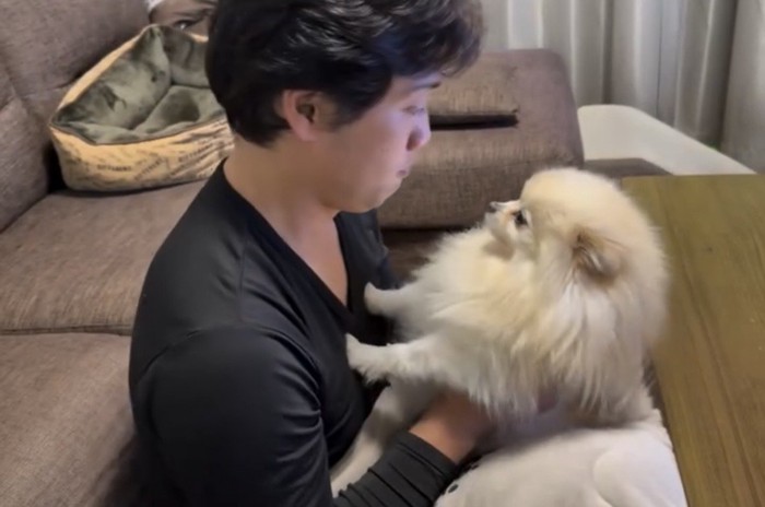 人をじっと見つめて踏ん張る犬