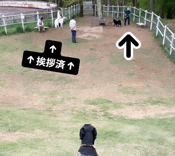 「まだ周りに犬がいるしな…」