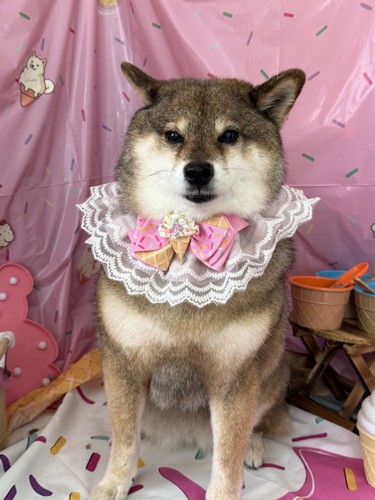 緊張