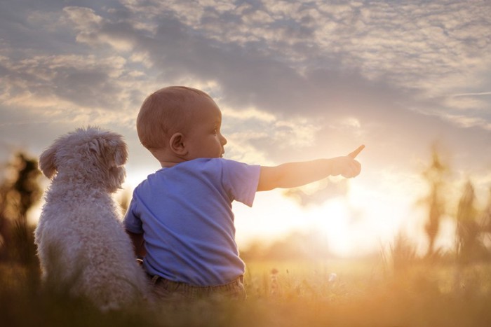 子供と犬の後ろ姿