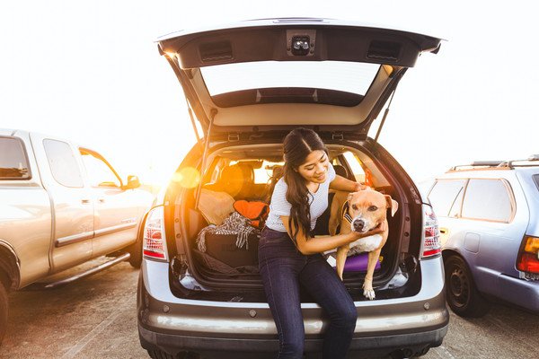 犬が車酔いしてしまった時の対処法